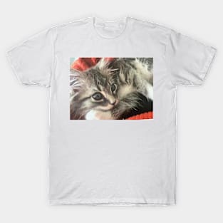 Kitten grey by Suzanne Beasley T-Shirt